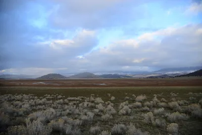 DSC_2940 (Large).JPG